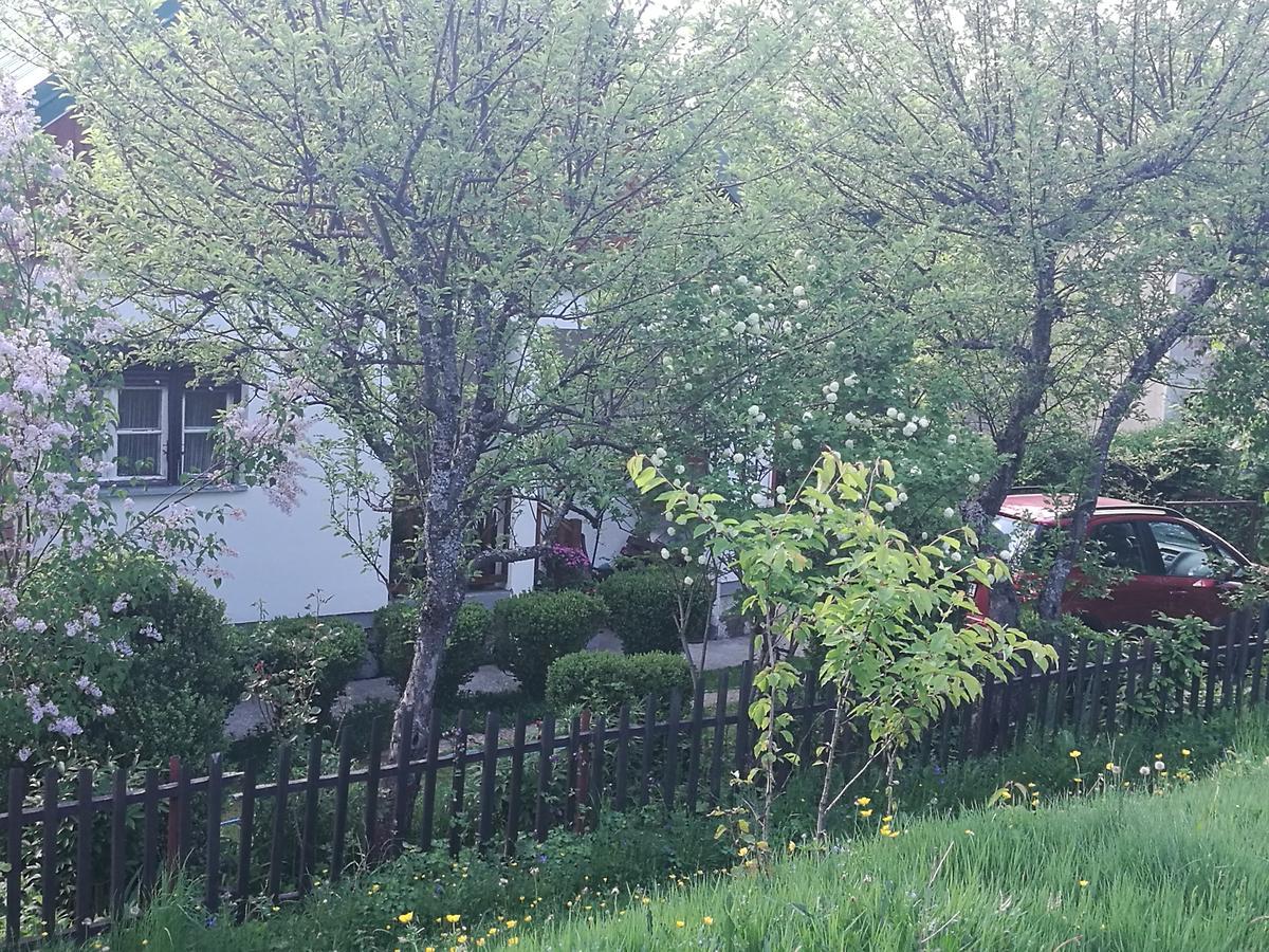 Kolašin Apartment Dulovine المظهر الخارجي الصورة